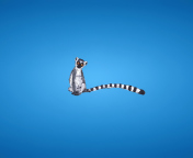 Fondo de pantalla Lemur On Blue Background 176x144
