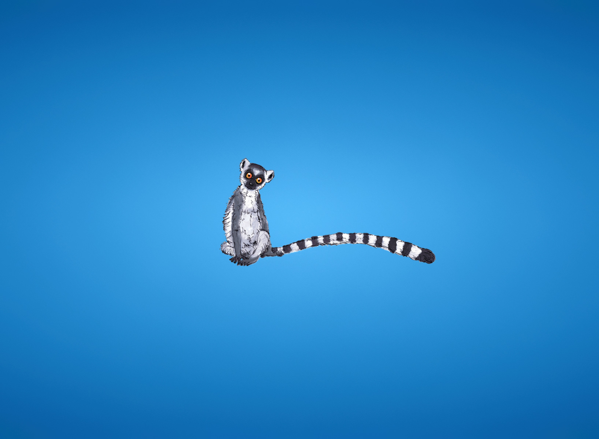 Das Lemur On Blue Background Wallpaper 1920x1408