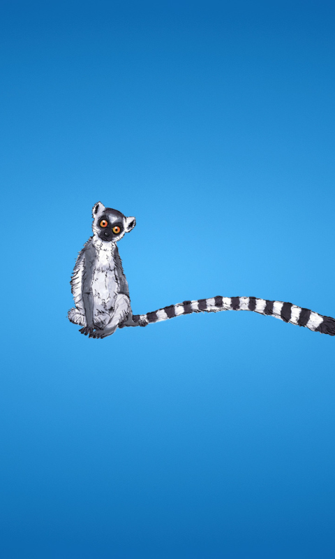 Das Lemur On Blue Background Wallpaper 480x800