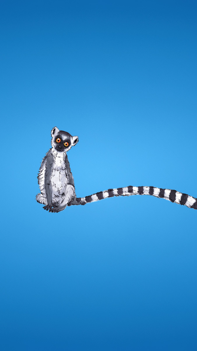 Lemur On Blue Background wallpaper 640x1136