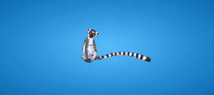 Lemur On Blue Background wallpaper 720x320