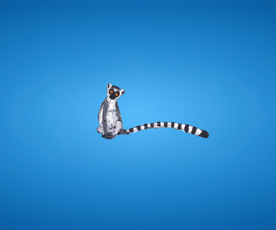 Обои Lemur On Blue Background 960x800