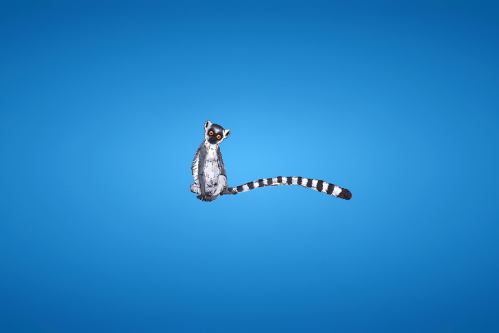 Das Lemur On Blue Background Wallpaper