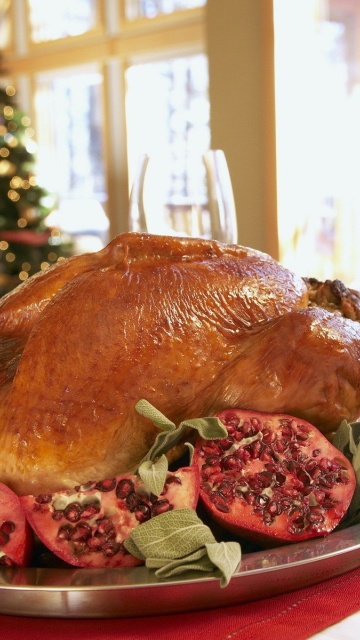Das Turkey on Thanksgiving Day Wallpaper 360x640