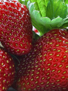 Обои Macro Strawberries 240x320