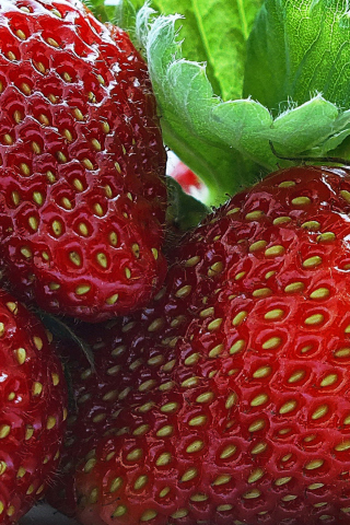 Das Macro Strawberries Wallpaper 320x480