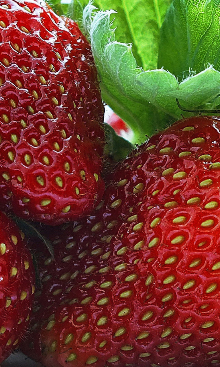 Macro Strawberries wallpaper 768x1280