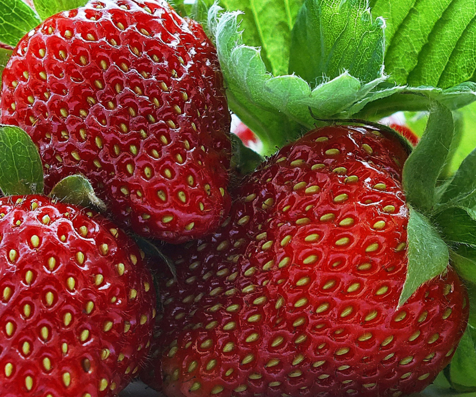 Macro Strawberries wallpaper 960x800