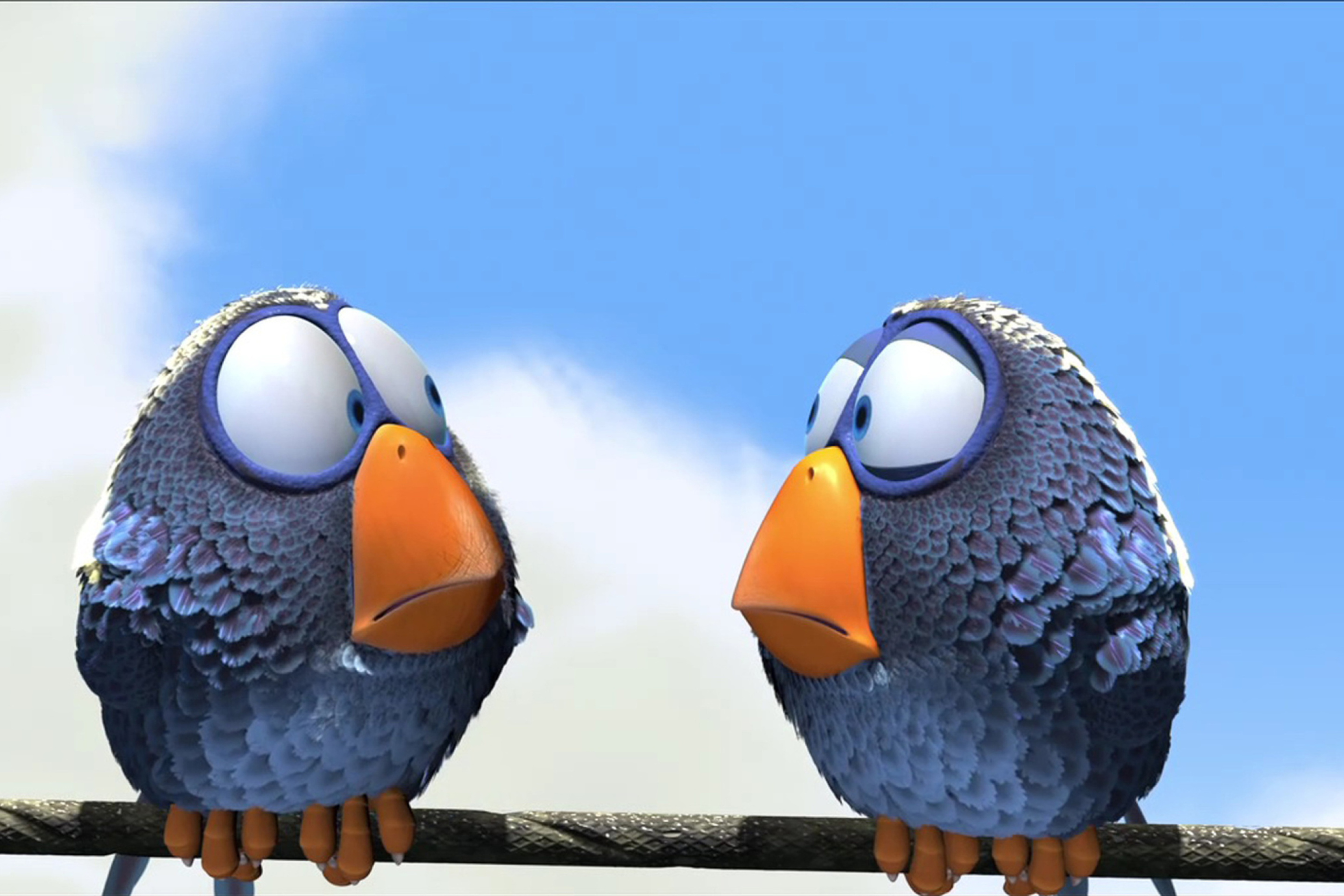Обои Angry Bird 2880x1920