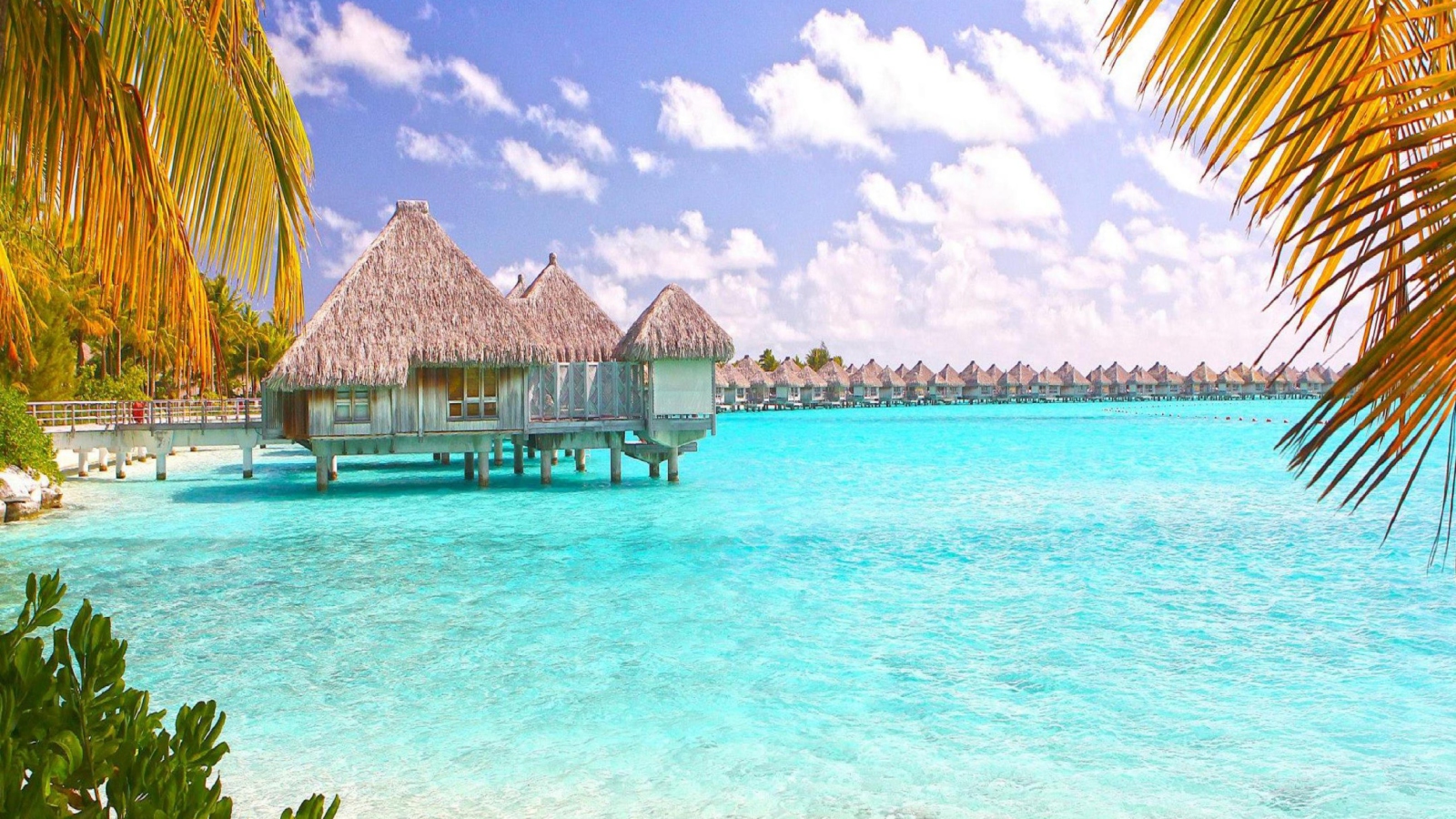 Blue Lagoon Island - Bahamas screenshot #1 1600x900