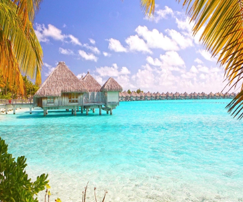 Blue Lagoon Island - Bahamas screenshot #1 480x400