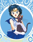 Обои Sailor Moon With Cat 128x160