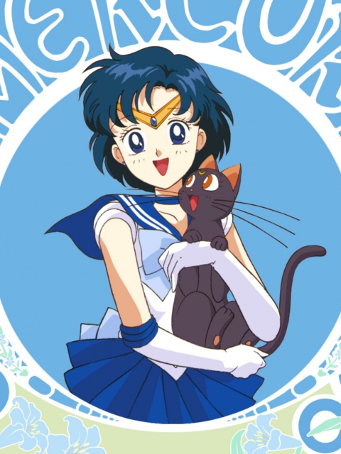 Sailor Moon With Cat wallpaper 480x640