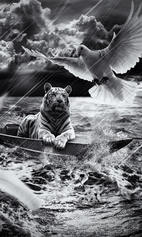 Tiger In Storm wallpaper 480x800