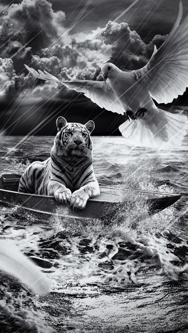 Tiger In Storm wallpaper 640x1136