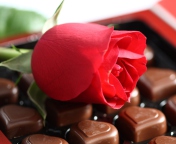 Обои Chocolate And Rose 176x144