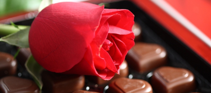Sfondi Chocolate And Rose 720x320