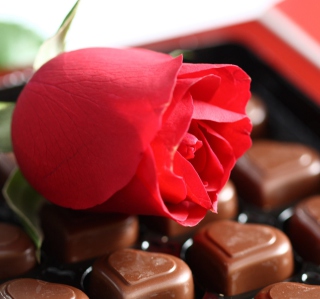 Chocolate And Rose - Obrázkek zdarma pro 1024x1024