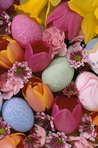 Easter Eggs And Flowers wallpaper 320x480
