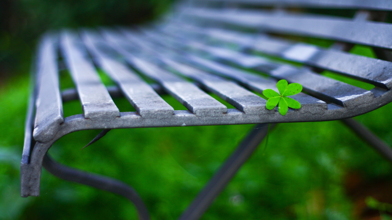 Macro green leaf wallpaper 1280x720