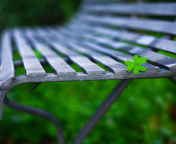 Macro green leaf wallpaper 176x144