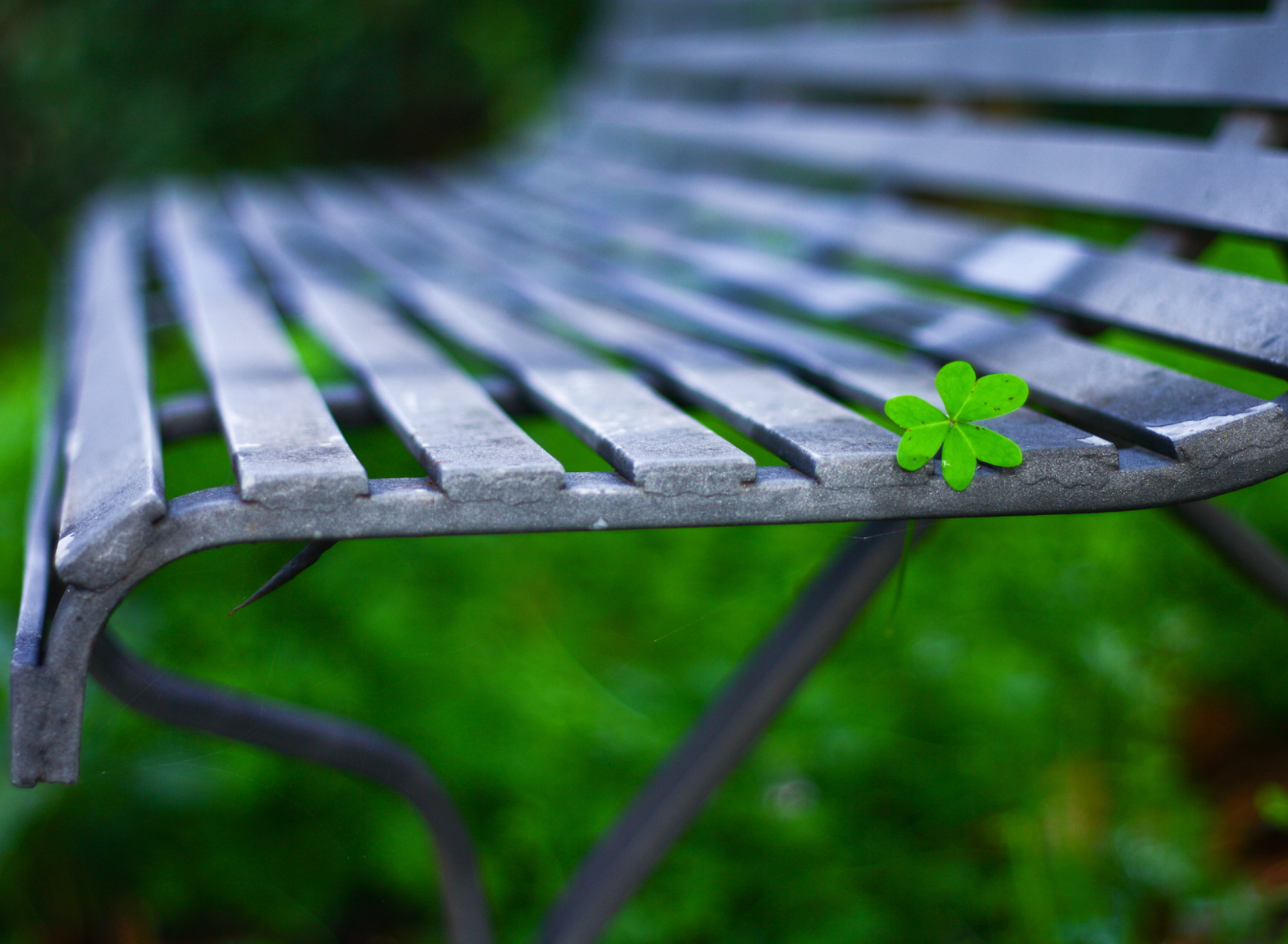 Обои Macro green leaf 1920x1408