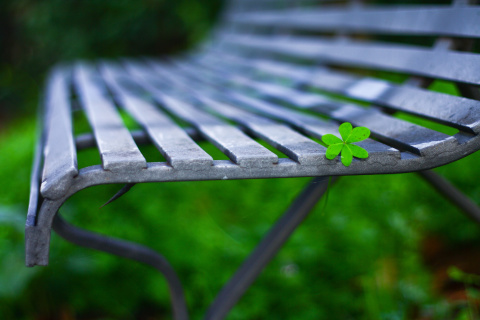 Fondo de pantalla Macro green leaf 480x320