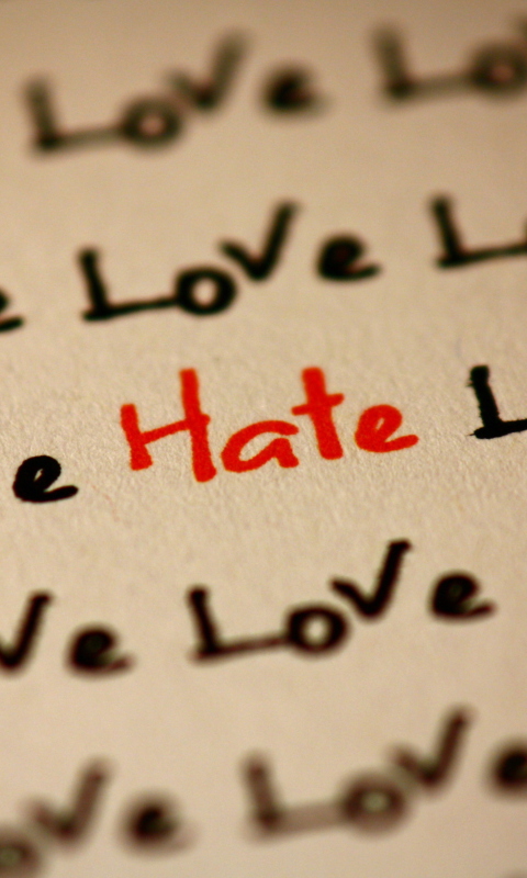 Love And Hate wallpaper 480x800