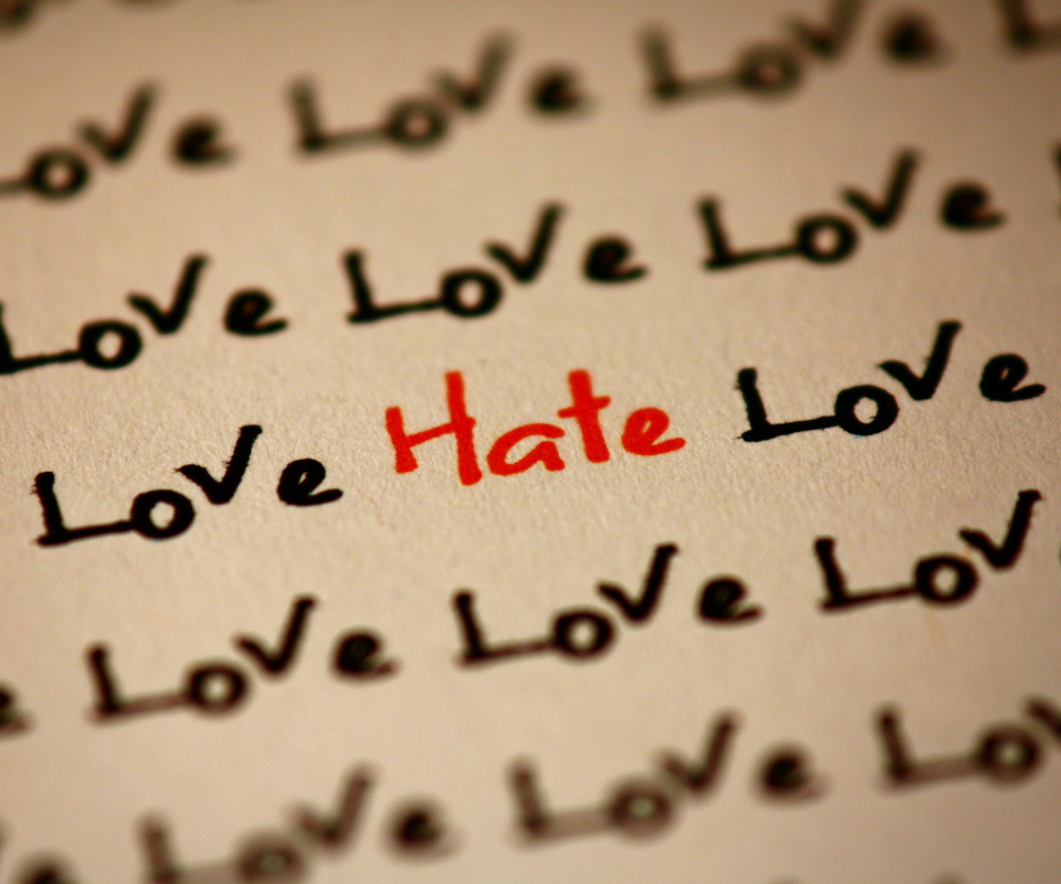 Обои Love And Hate 960x800