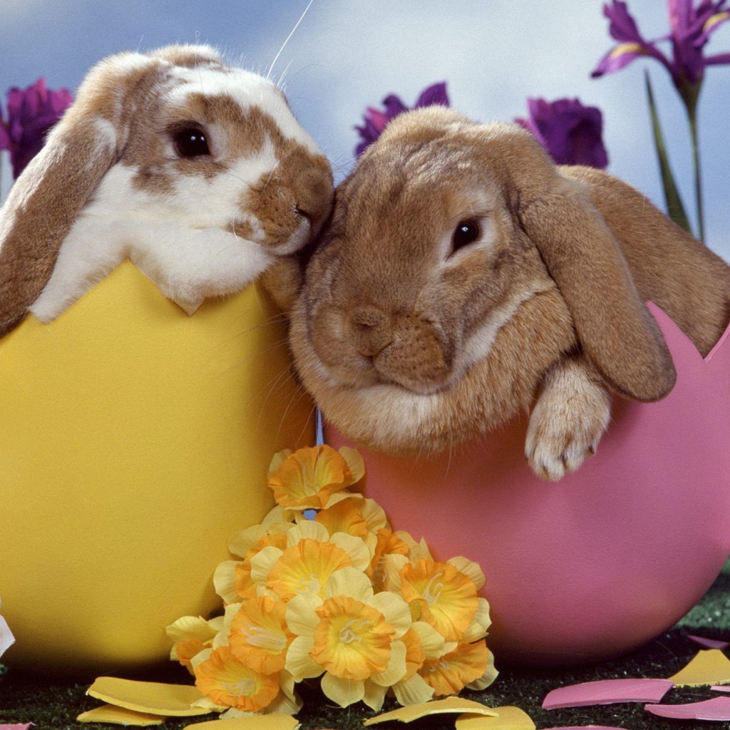 Fondo de pantalla Easter Bunnies 1024x1024