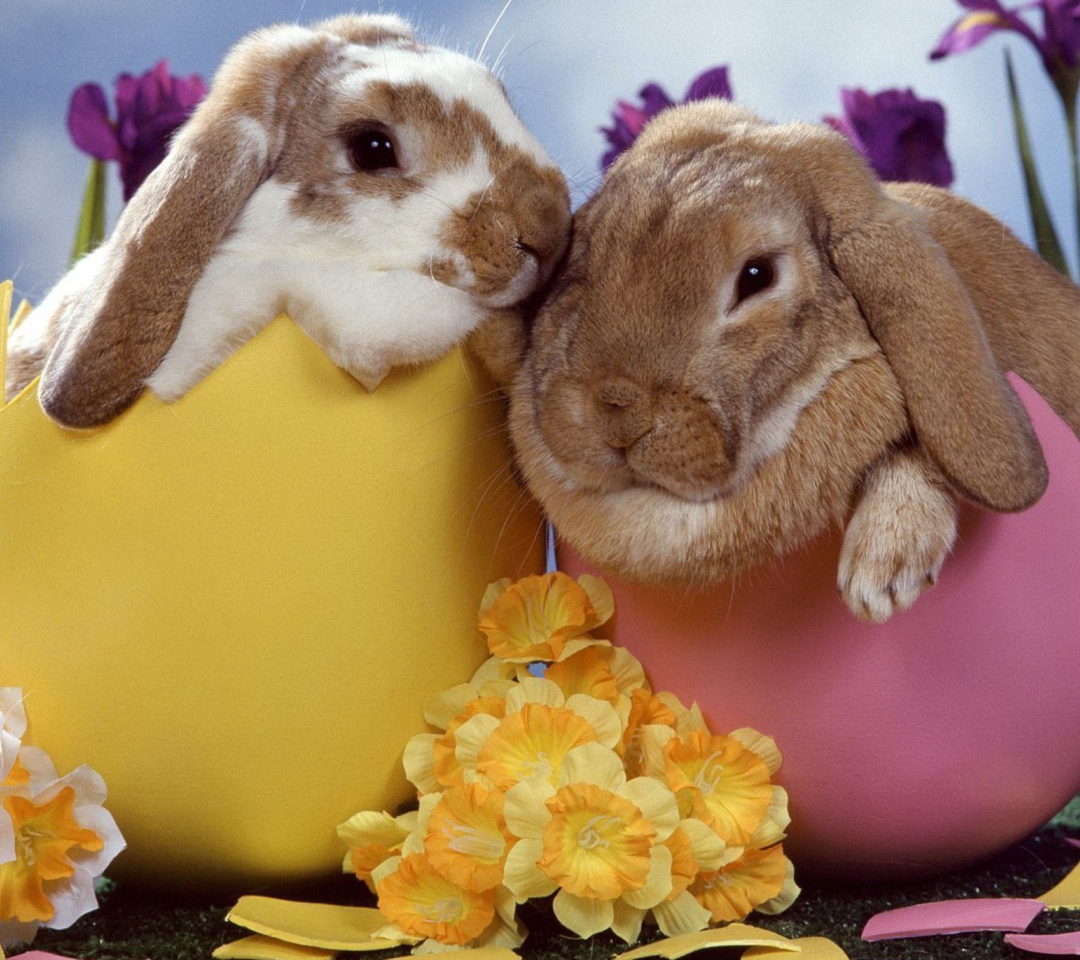 Das Easter Bunnies Wallpaper 1080x960