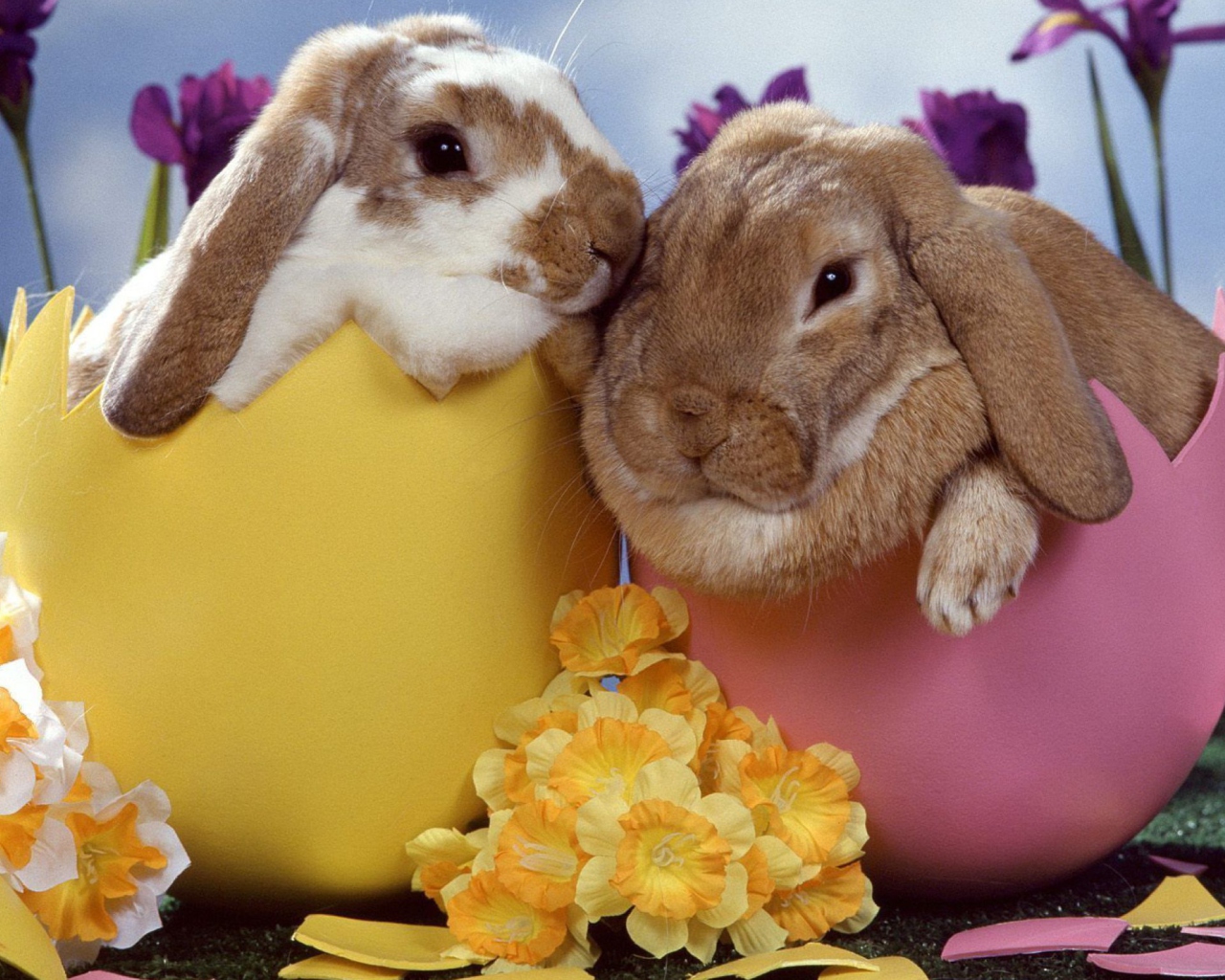 Das Easter Bunnies Wallpaper 1280x1024