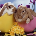 Easter Bunnies screenshot #1 128x128