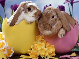 Das Easter Bunnies Wallpaper 320x240