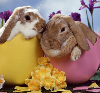 Free Easter Bunnies Picture for 128x128