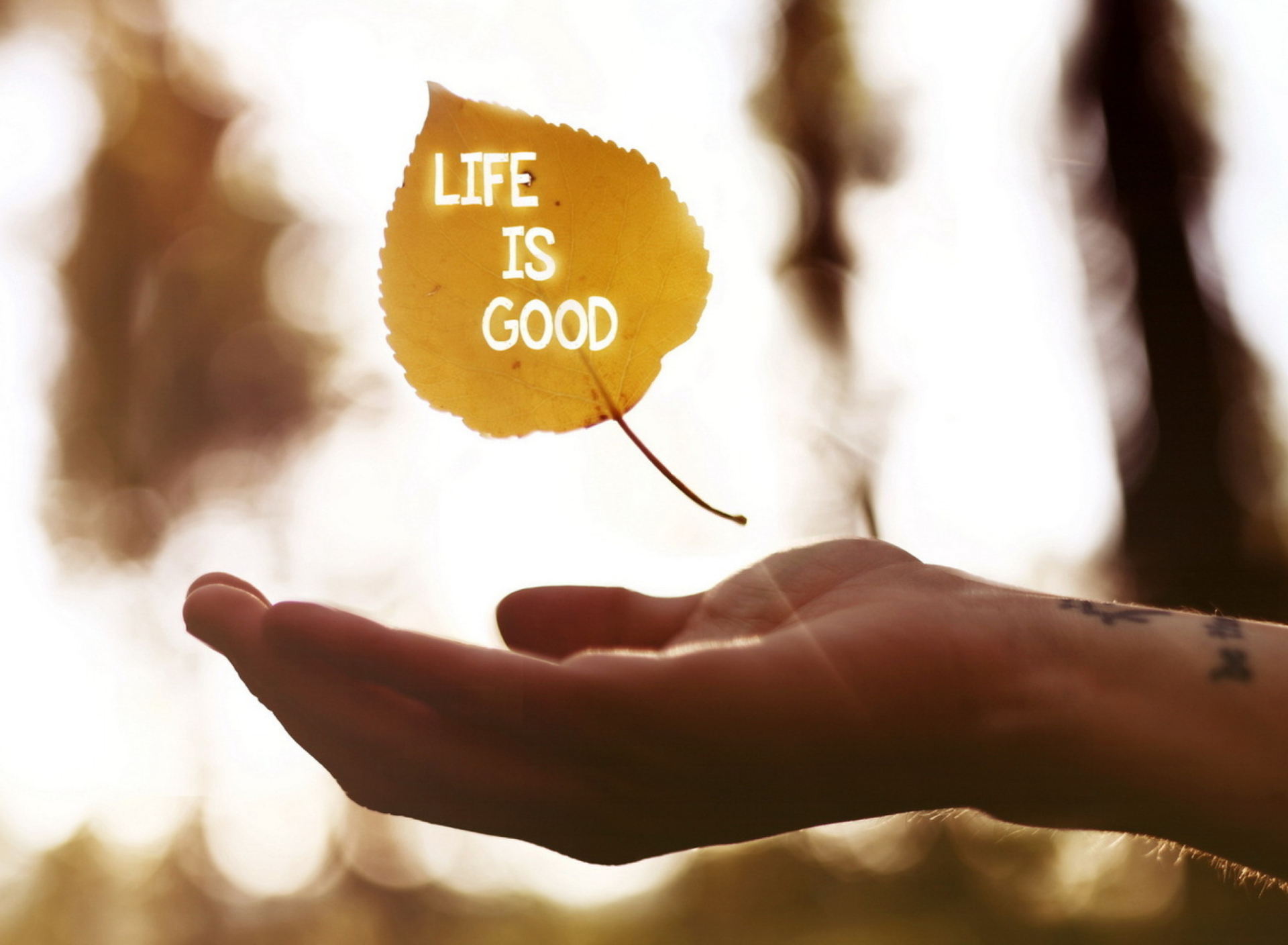 Обои Life Is Good 1920x1408