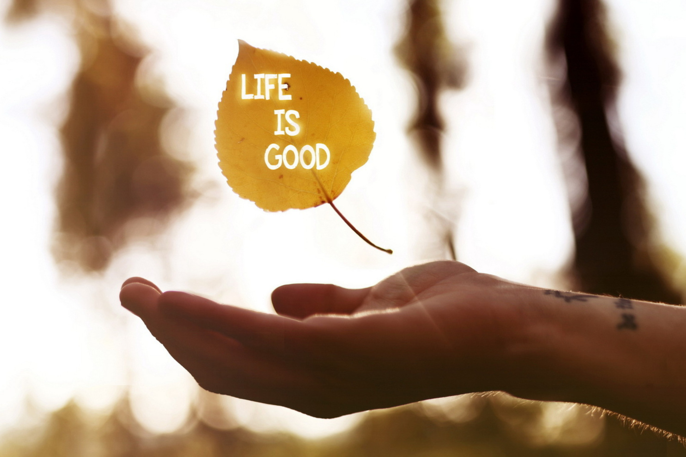 Обои Life Is Good 2880x1920