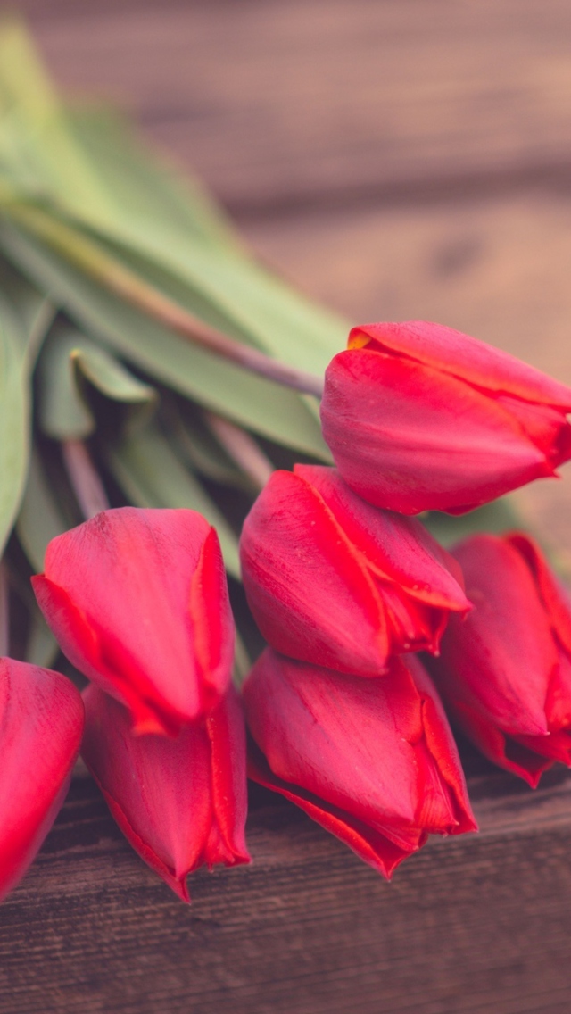 Sfondi Spring Bouquet 640x1136
