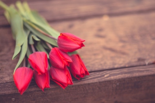 Spring Bouquet sfondi gratuiti per cellulari Android, iPhone, iPad e desktop