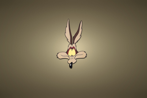 Fondo de pantalla Looney Tunes Wile E. Coyote 480x320