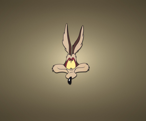 Looney Tunes Wile E. Coyote wallpaper 480x400