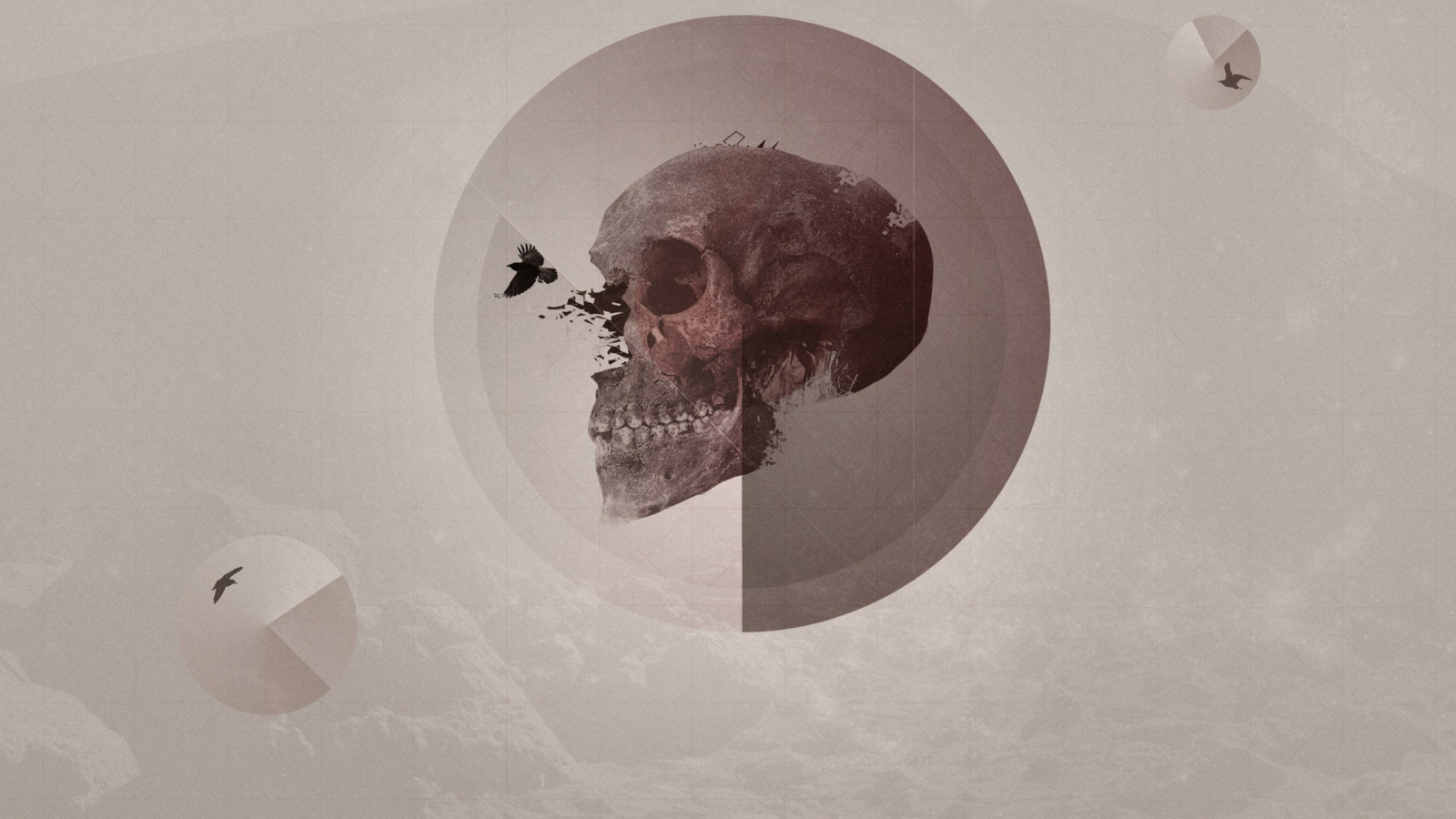 Fondo de pantalla Skull 1600x900