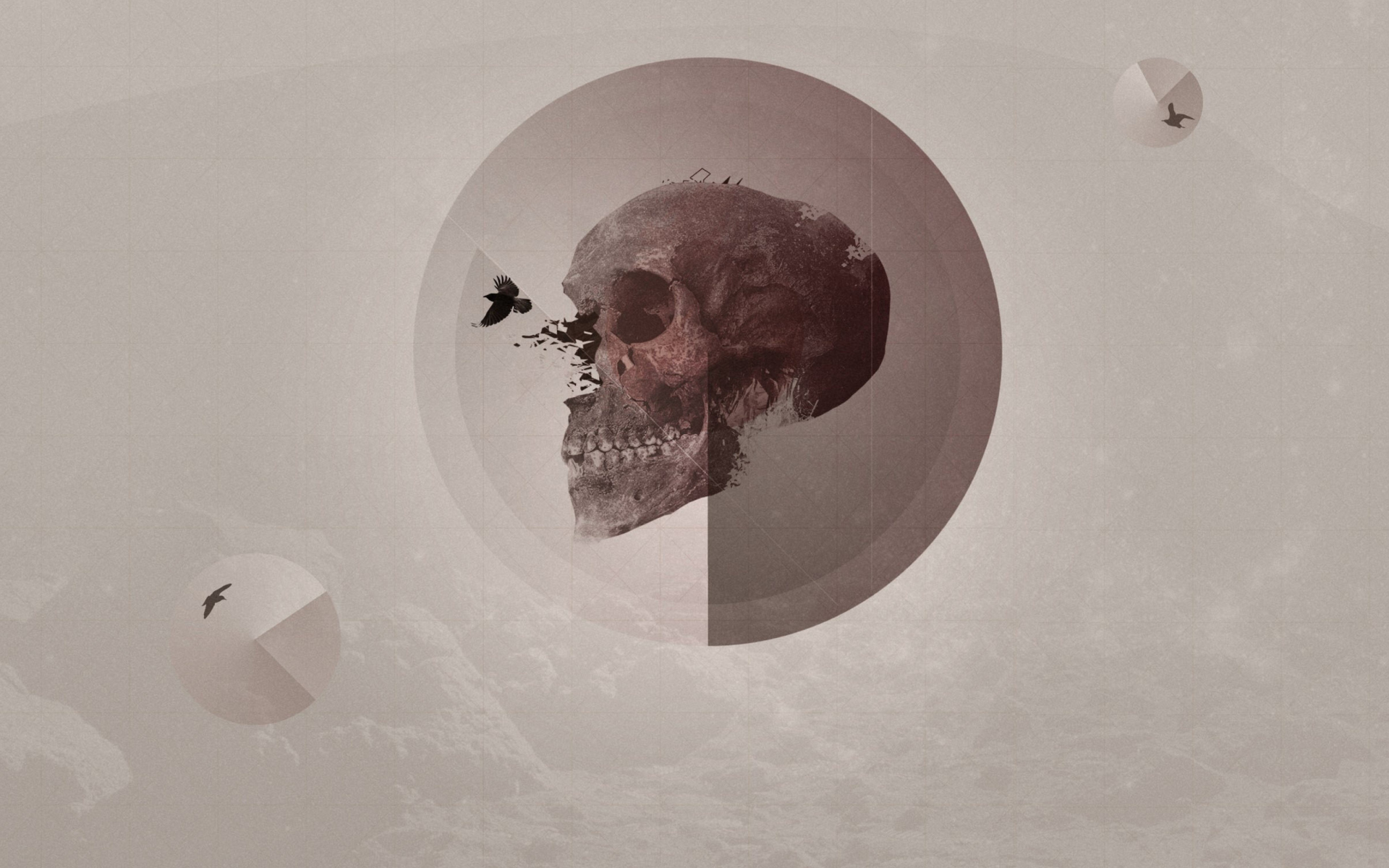 Fondo de pantalla Skull 1920x1200