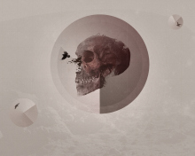 Skull screenshot #1 220x176