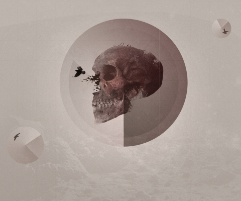Skull screenshot #1 480x400