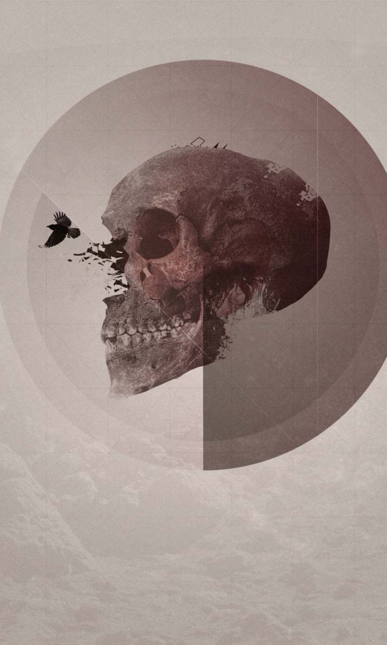 Das Skull Wallpaper 768x1280