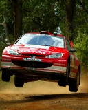 Fondo de pantalla Auto Racing WRC Peugeot 128x160