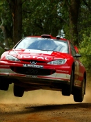 Auto Racing WRC Peugeot screenshot #1 132x176