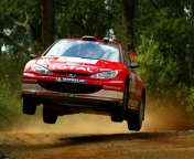 Auto Racing WRC Peugeot screenshot #1 176x144