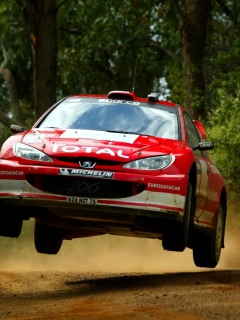 Screenshot №1 pro téma Auto Racing WRC Peugeot 240x320